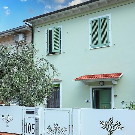 B&B Ulivo Gaio Σαν Μινιάτο Εξωτερικό φωτογραφία