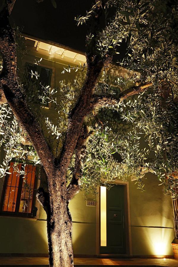 B&B Ulivo Gaio Σαν Μινιάτο Εξωτερικό φωτογραφία
