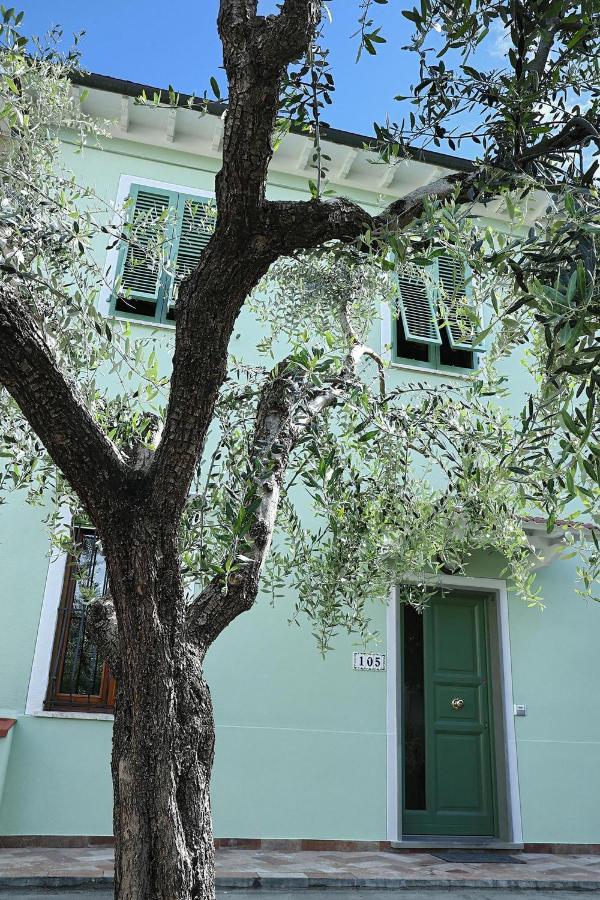 B&B Ulivo Gaio Σαν Μινιάτο Εξωτερικό φωτογραφία